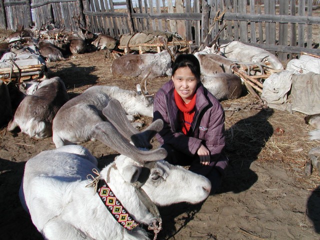 Оленевод Гаврила и 100 грамм водки
