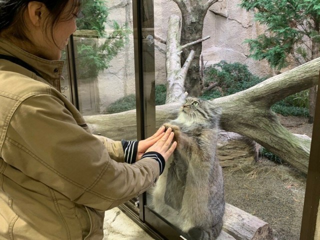 Подборка интересных и веселых картинок