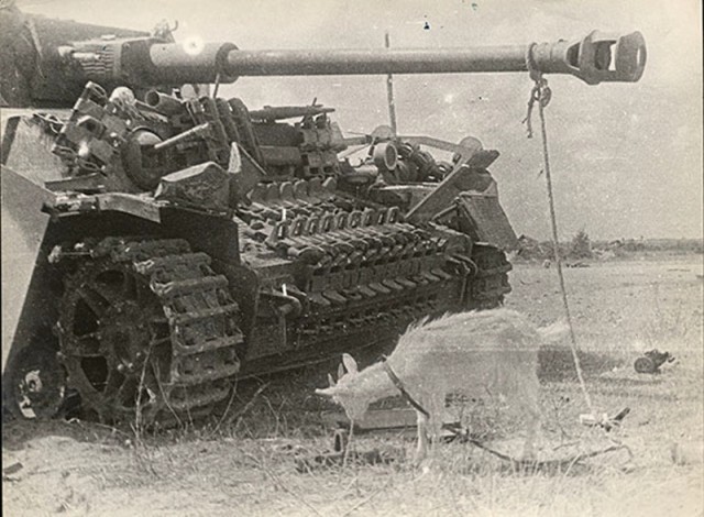 Подборка фотографий Великой Отечественной войны. Часть 2