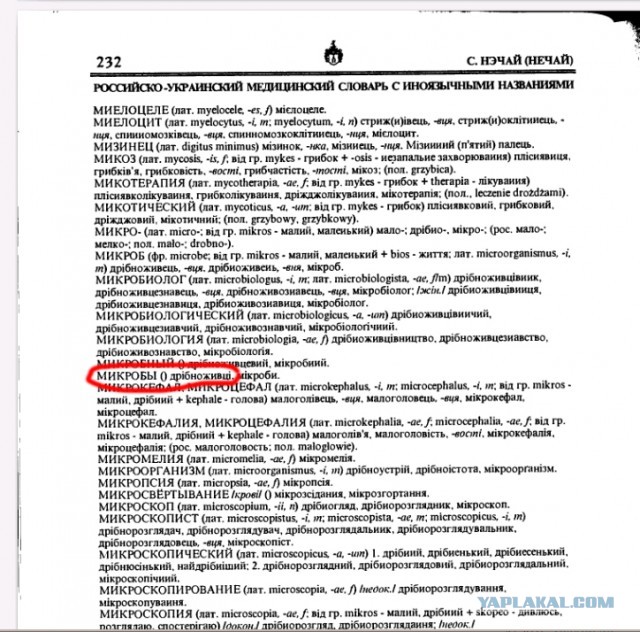 Бесполезные англицизмы