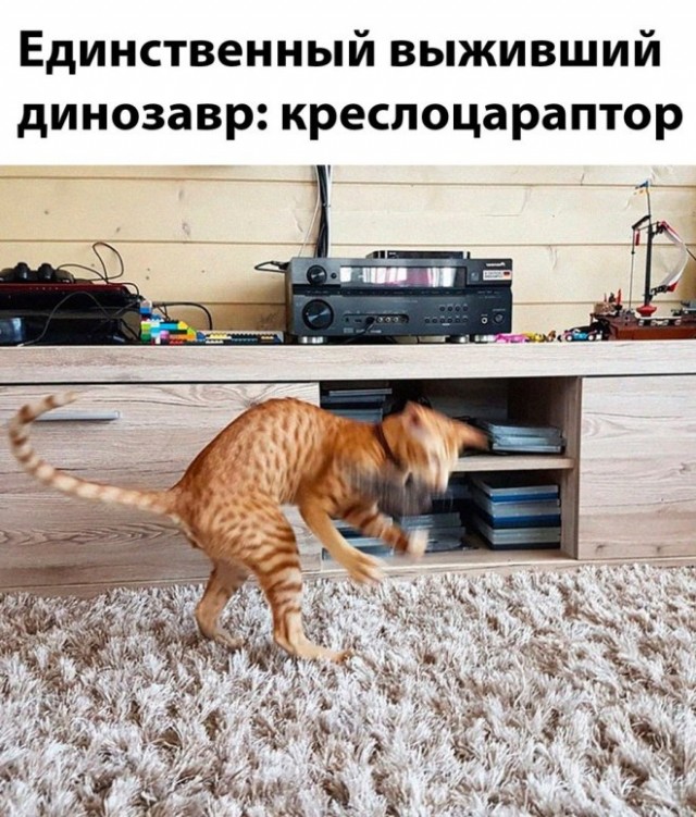 Маленькая пятница