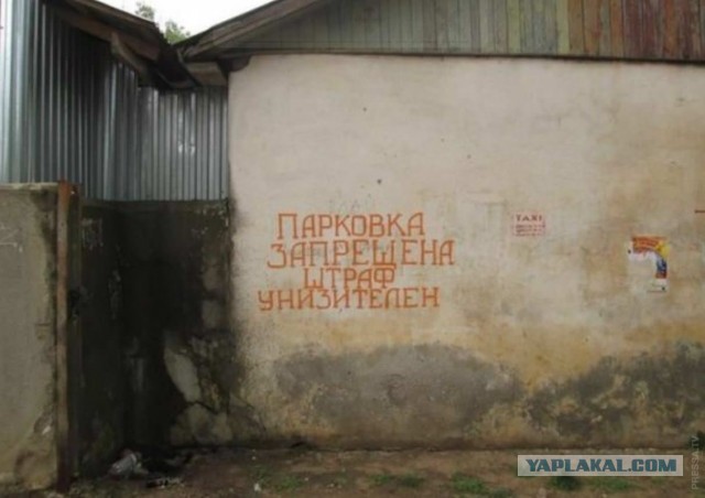 Забавные картинки ...