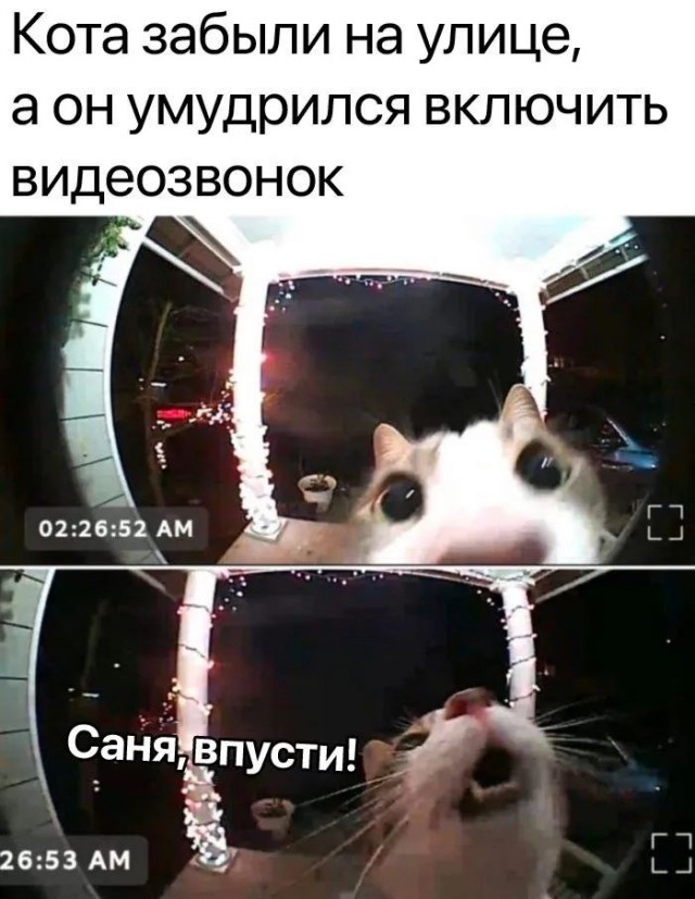 Завалялось тут случайно немного забавных картинок