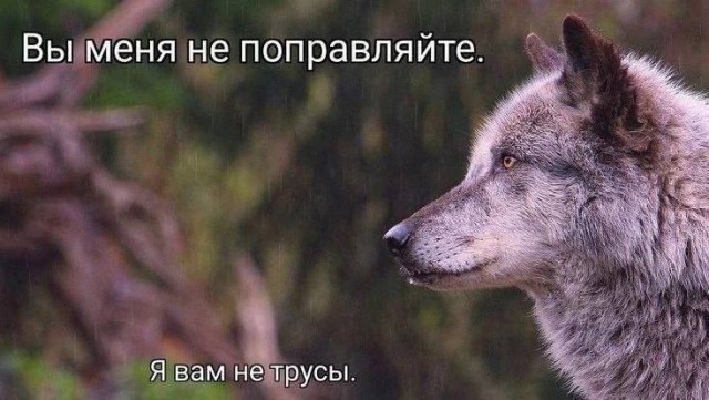Всего понемногу. От 24.06.2024