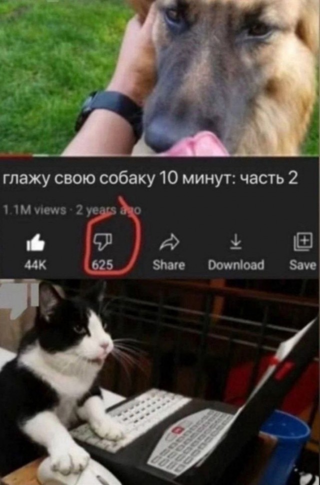 Так себе картинки 18.11.24
