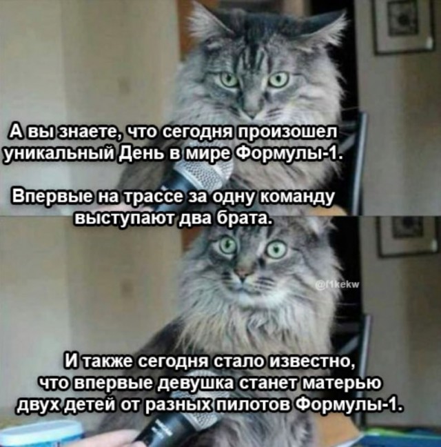 Формула 1 2024-2025