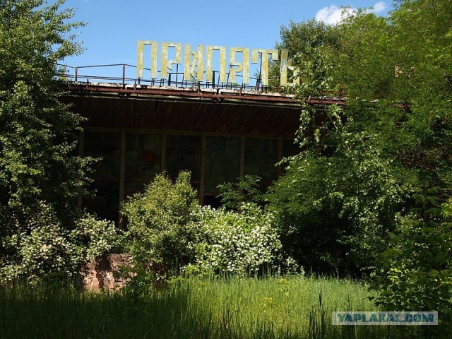 Припять туристический экстрим