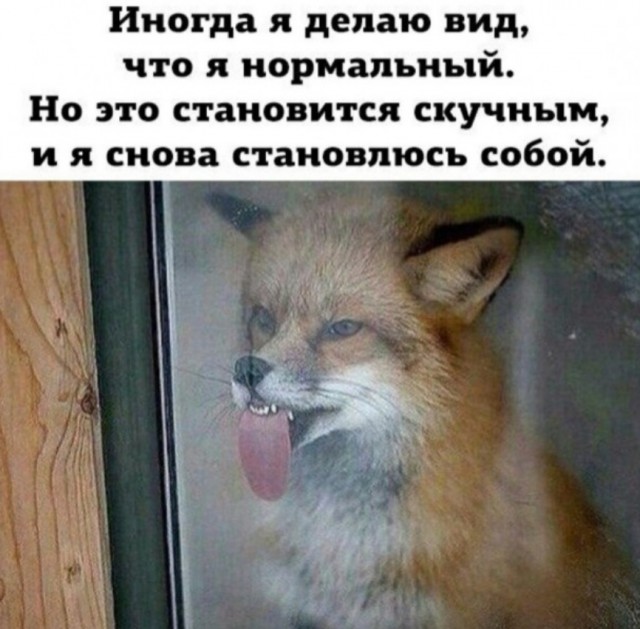 Сборник чтобы подеградировать - 10