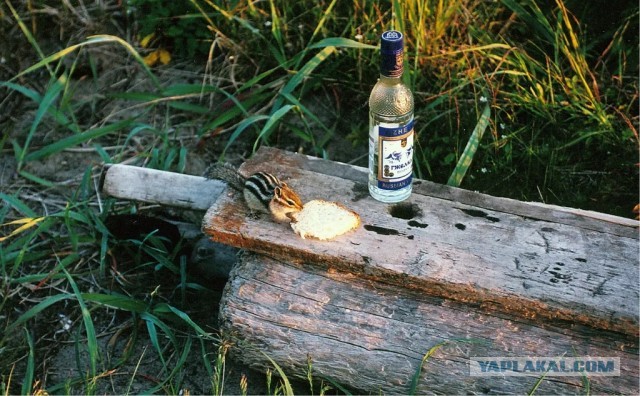 Фото моей природы