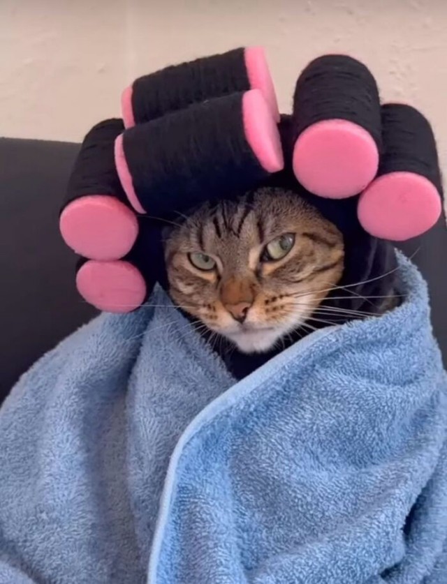 Ну и где тебя носило?!