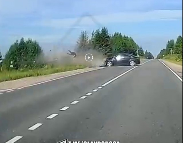 Под Торжком автомобилист устроил смертельное ДТП на встречке