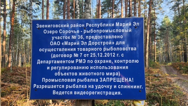 Озеро Лисичкино и другие
