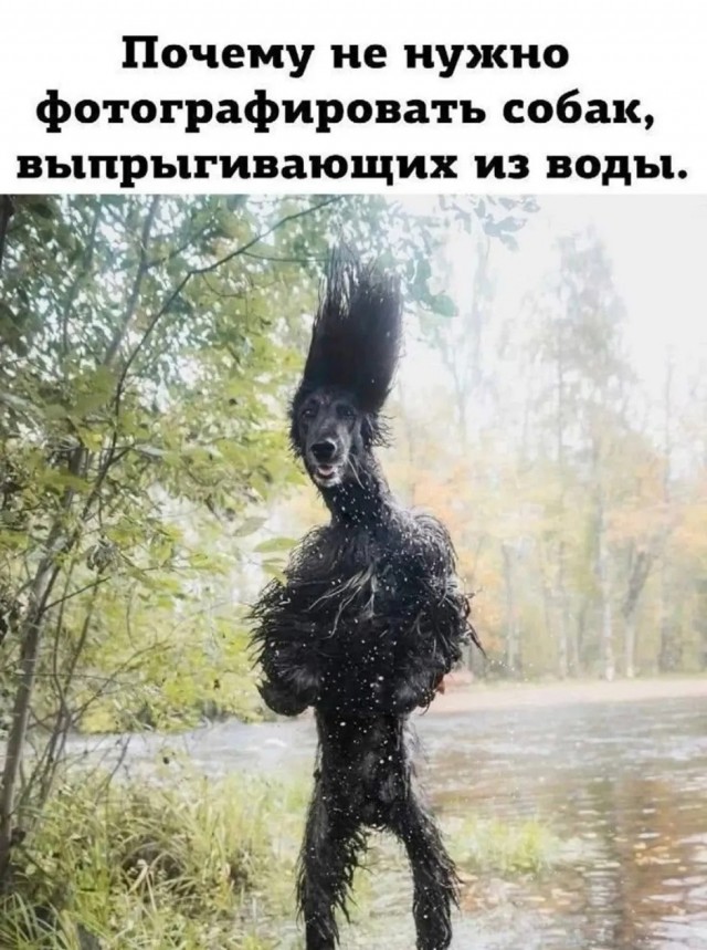 Так себе картинки 13.12.25