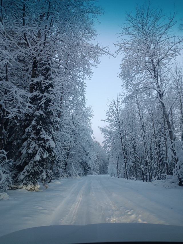 Зимняя дорога