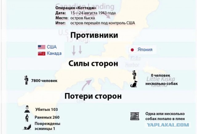 Трамп выступил с угрозой в адрес премьера Гренландии Нильсена