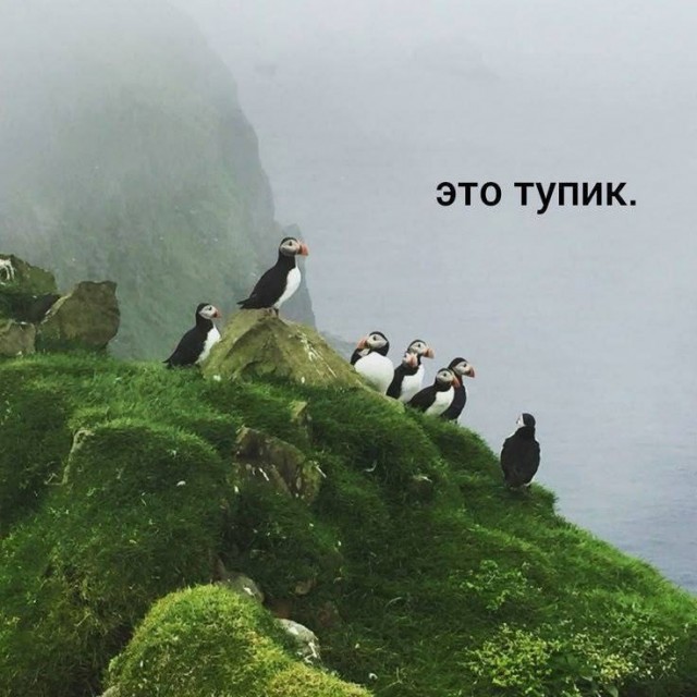Воскресные картинки