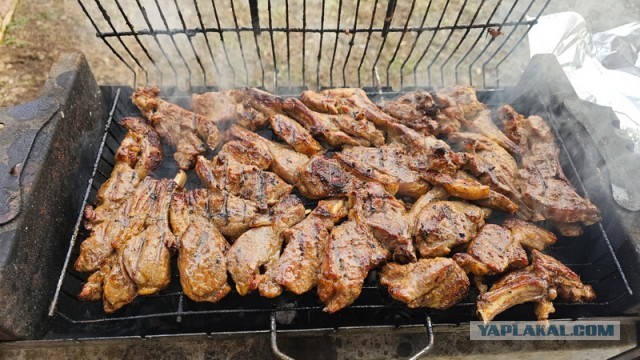 Шашлык, рецепты маринада, все про шашлык!
