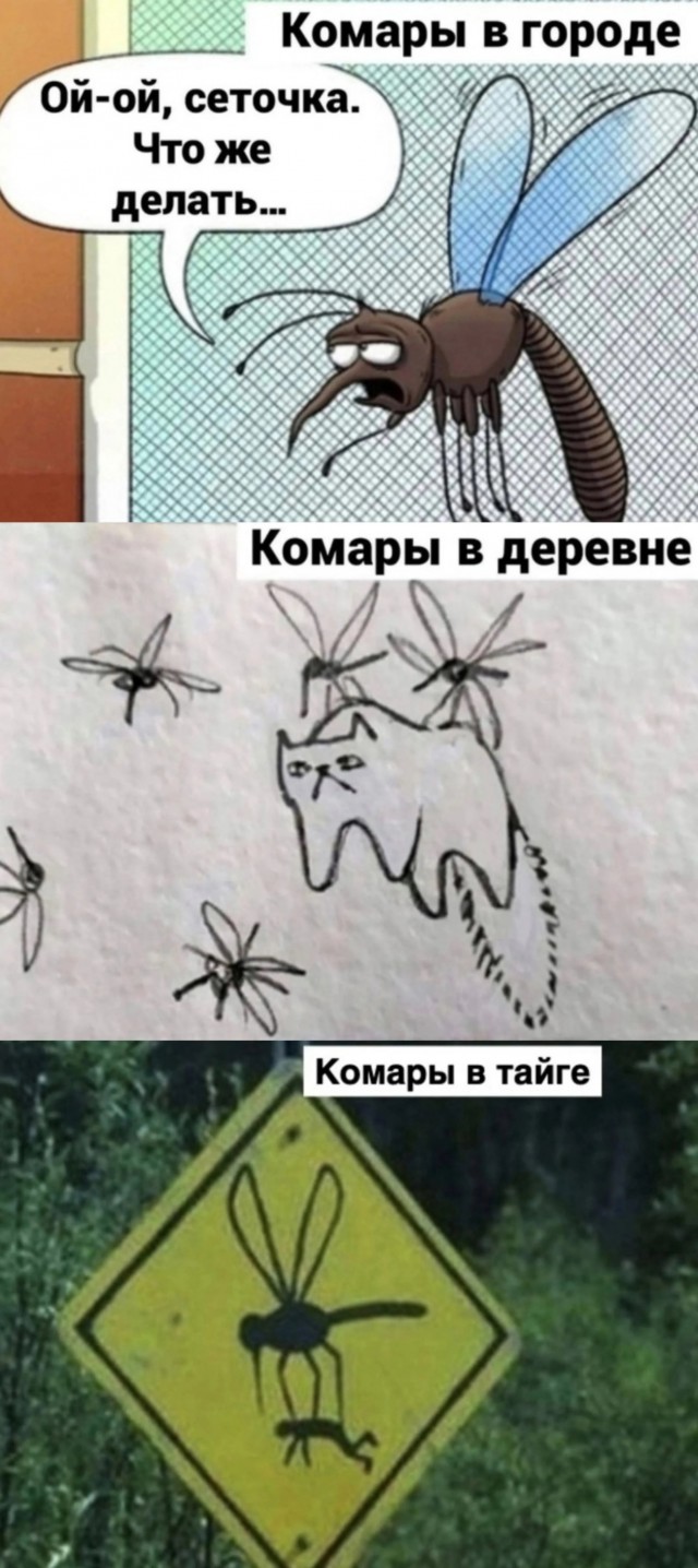 Среды картинки