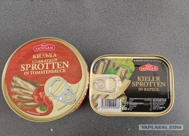 Килька: Селёдка, ставшая культовой в СССР. Её ловят по 600 тысяч тонн в год, а она не кончается. Как так?