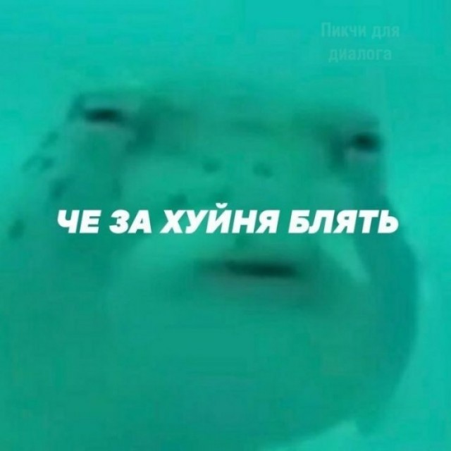 Электрические квадрициклы новой марки Eonyx терпит крах на рынке России - их практические никто не покупает