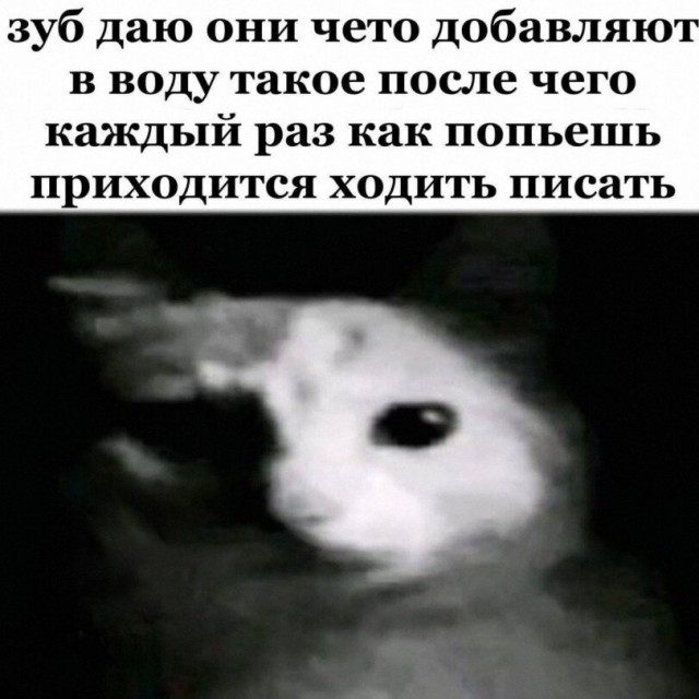 Так себе картинки 21.06.26