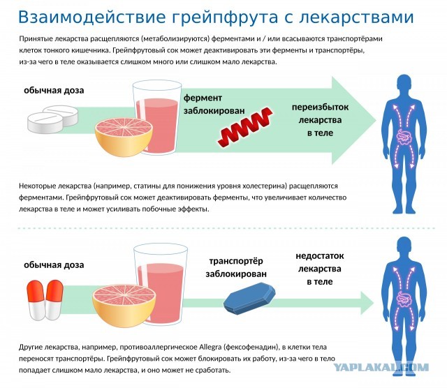Познавательные картинки