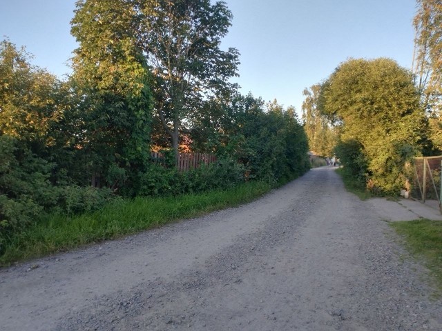 Хорошо в деревне летом