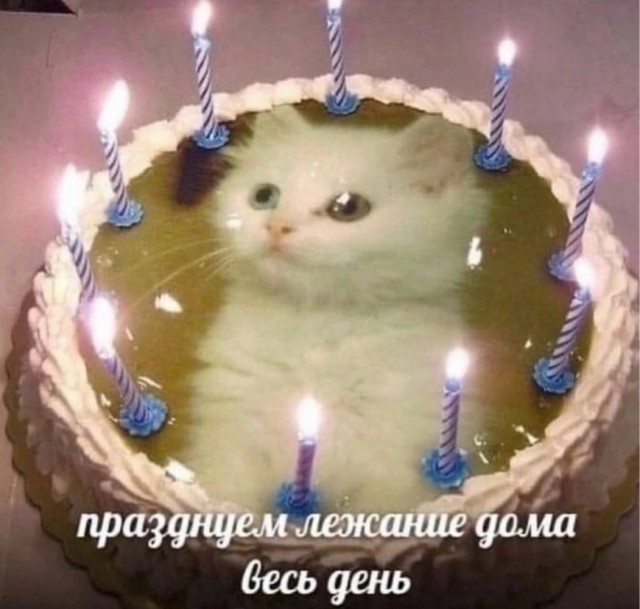 Веселое настроение в картинках 10.08.26