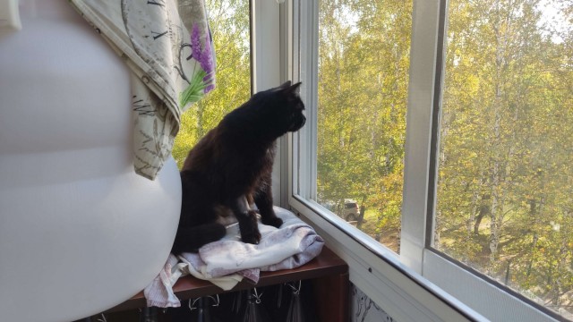 Спасти животинку