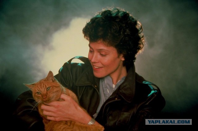 Лучший в мире сиквел: как создавались «Чужие» (1986)
