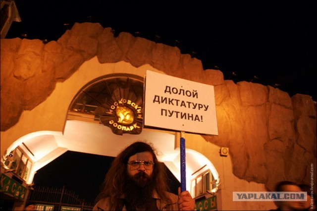 Майонезный заводик депутата Гудкова.