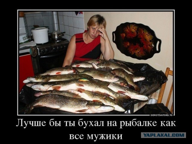 Как мы ездили на рыбалку