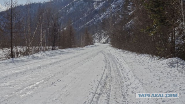 Суровая жизнь в поселке "Коммунар"