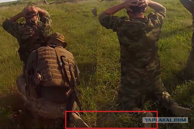 Террористы сдаются украинским войскам