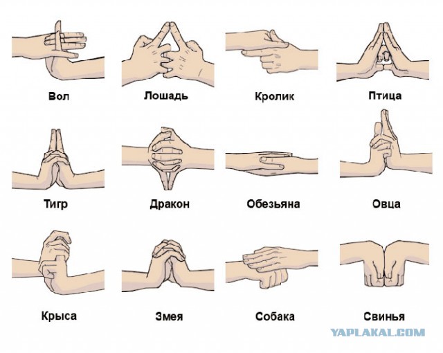 Исследую Хиромантию