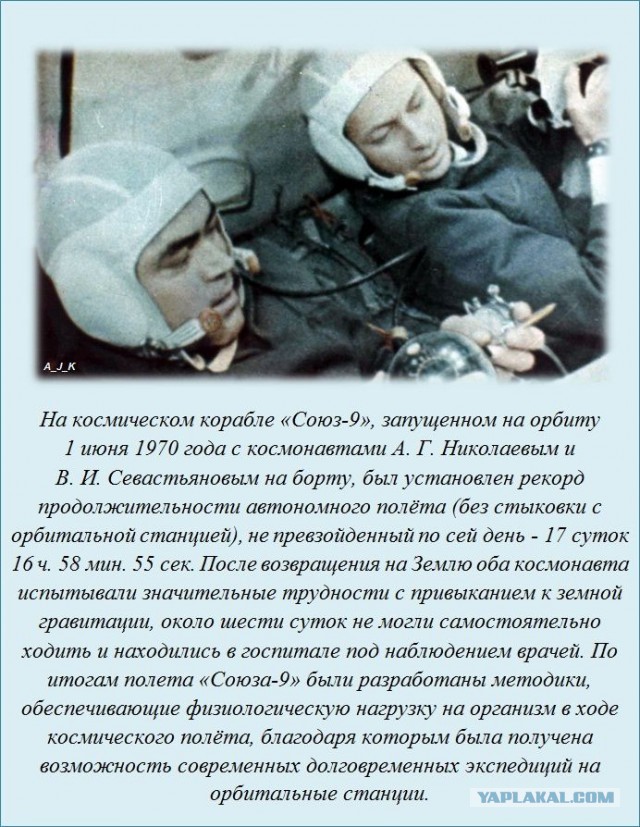 20 фактов обо всем