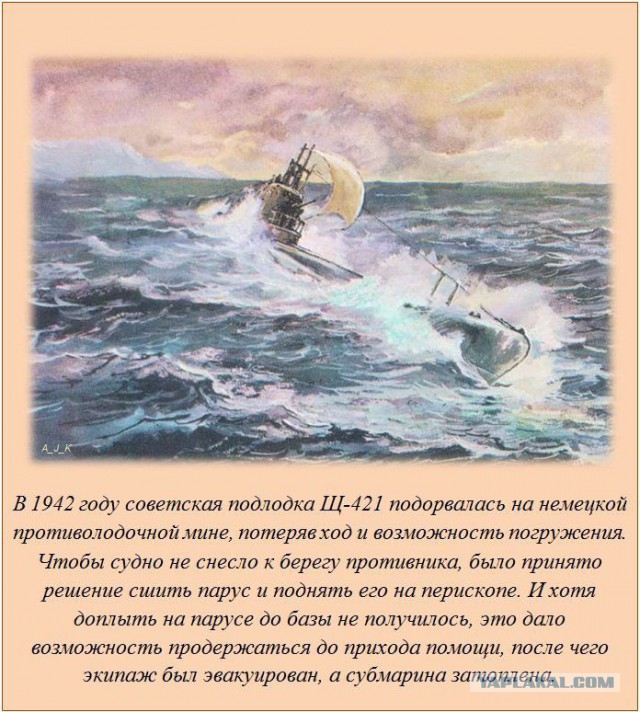 20 фактов обо всем