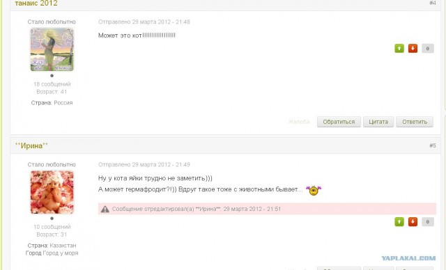 Что-то с кошкой