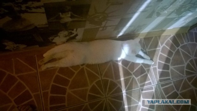 Ей хотелось хорошо выглядеть на свадьбе