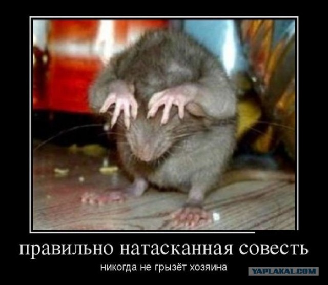 Наедине со своей совестью