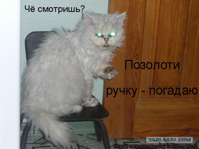 В погоне за ЮКой