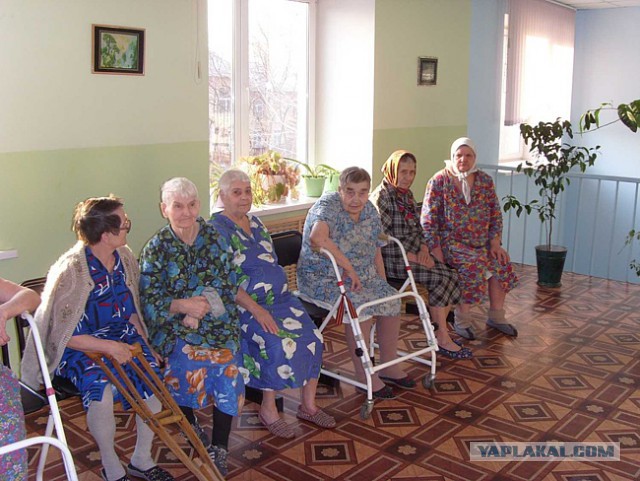 30 тонн польских грибов - всмятку!