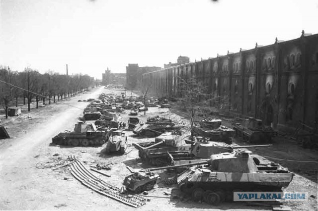 1939 г. Польша и Финляндия. Две девы