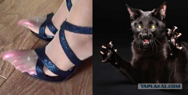 Вот она пришла весна...