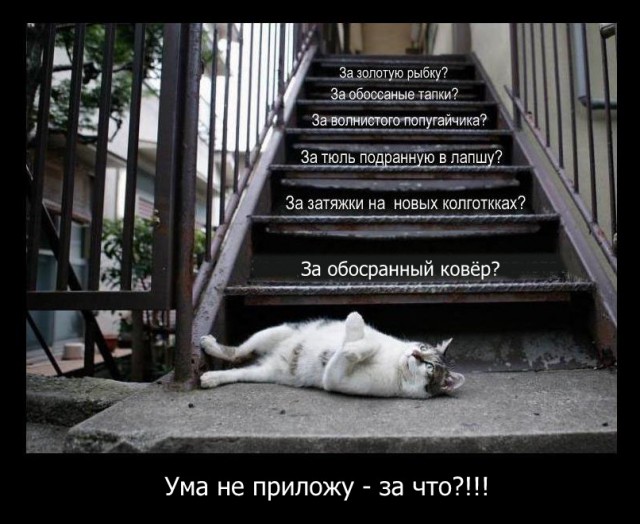 Преступление и наказание