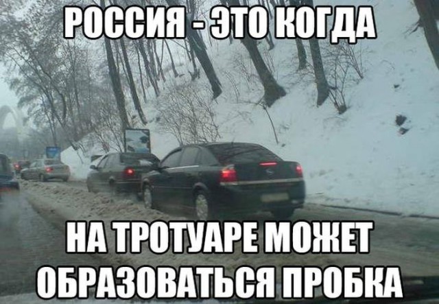 Порция картинок из сети