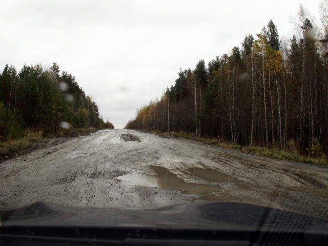 Синячихи.