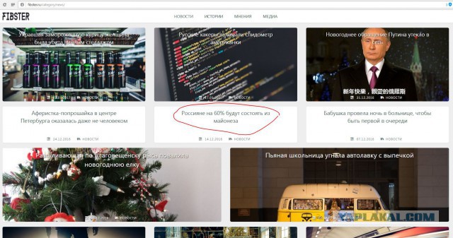 Укравшая замороженную курицу женщина была убита винным стеллажом