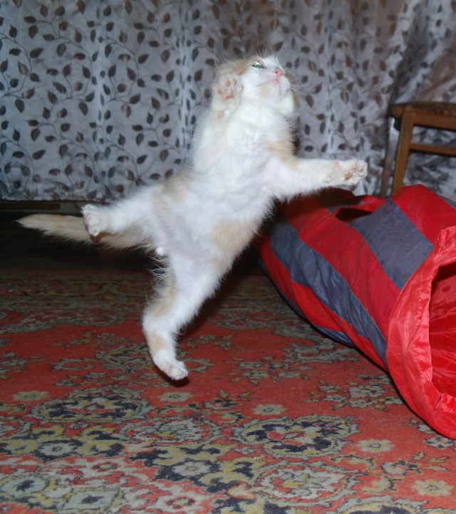 20 обалденных фотографий, в которые трудно поверить