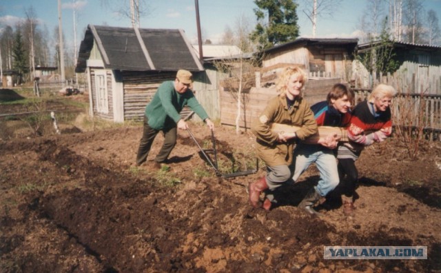 Путин утвердил закон о садоводческом и огородническом товариществах